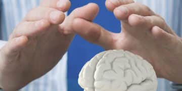 Two hands are positioned protectively around a small model of a human brain on a reflective surface, with a blue background and a person wearing a striped shirt partially visible.