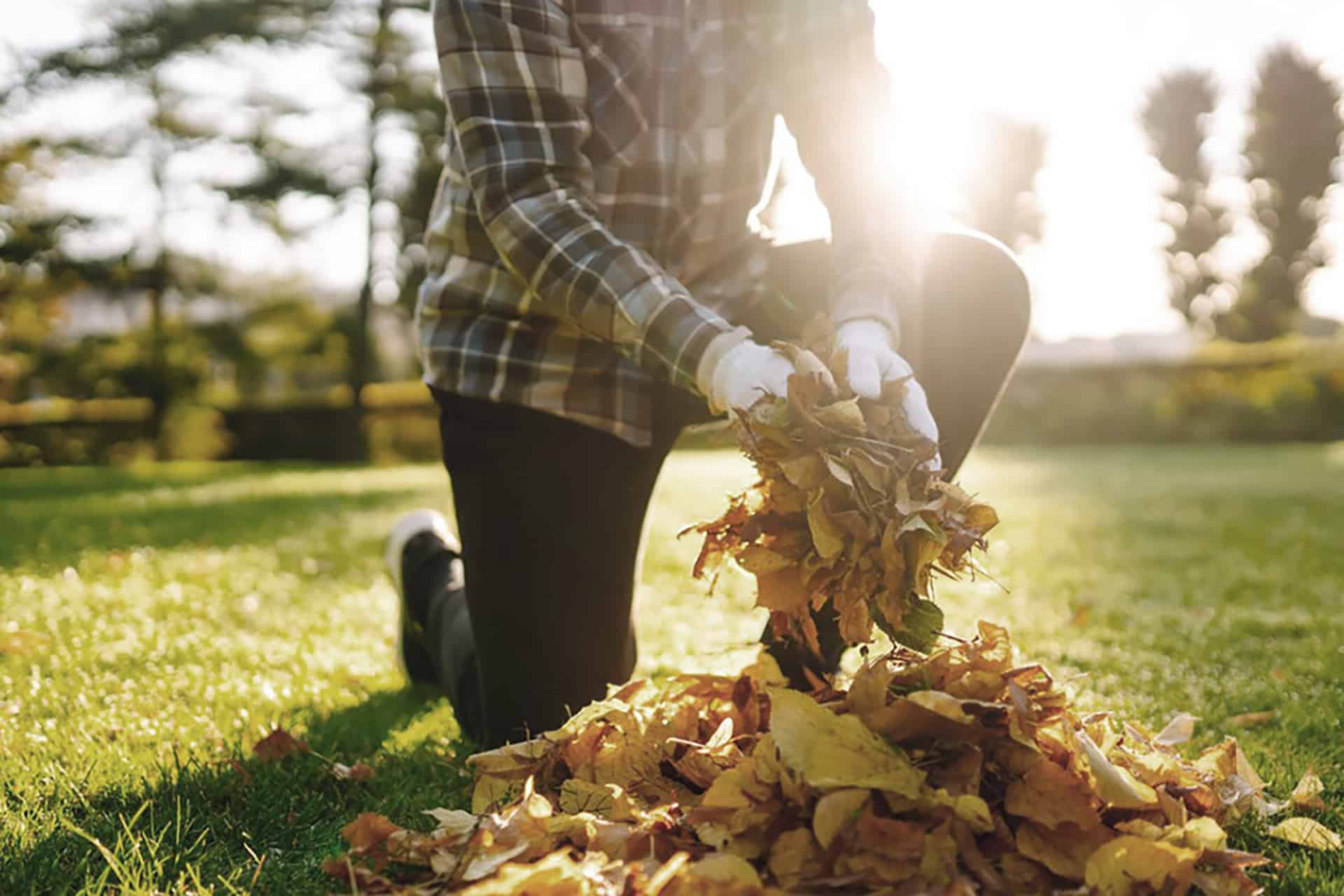 A person wearing gloves and a plaid shirt is kneeling on grass, picking up a pile of dry autumn leaves outdoors on a sunny day.